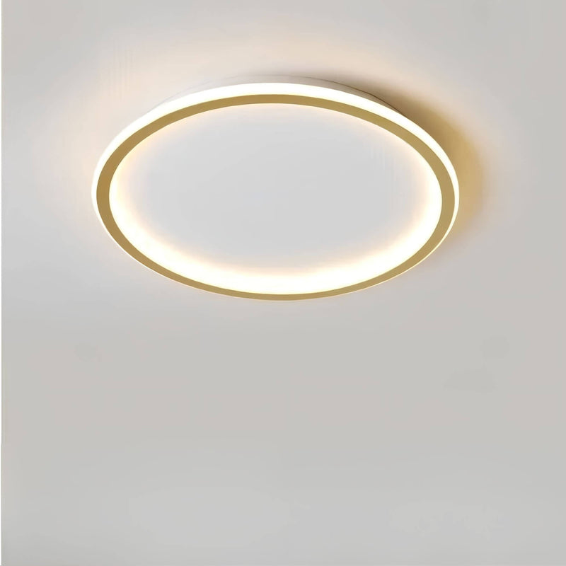 Aurora Globe LED Ceiling Light - Stylish Lighting for Any Space